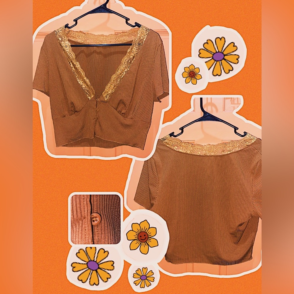 Brown lace trimmed button up crop top with breast detailing